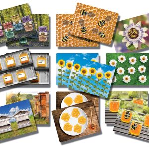 Honingbij Activiteitenkaarten