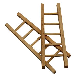 Ladder (6 stuks)
