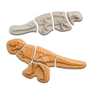 Dig & Discover – Ankylosaurus en Tyrannosaurus