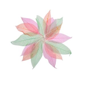 Transparante bladeren (20 stuks)