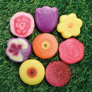 Senso Speelstenen – Bloemen