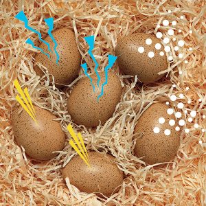 Sensory – Eieren met geluid