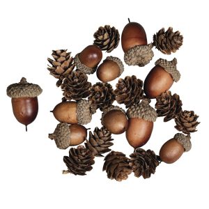 Mix van eikels en dennenappels