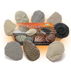 Fossielen (8 stuks)