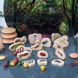 Houten blokken – Insecten