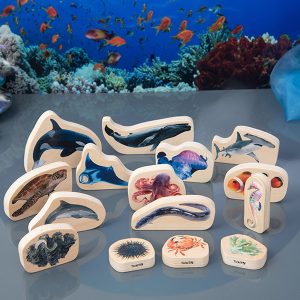 Houten blokken – Zeedieren