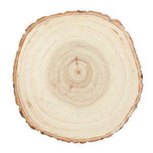 Houtschijf 16-19 cm.