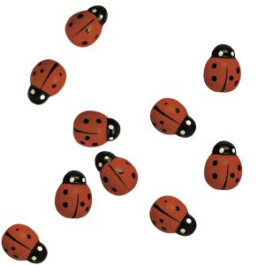 Lieveheersbeestjes (24 stuks, standaard)