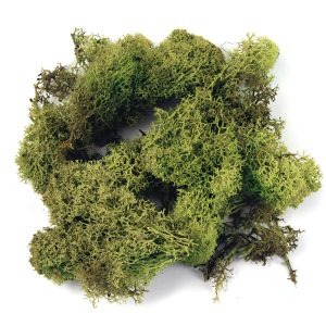 Ijslands-mos (100 gram)