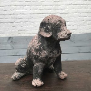 Oud stenen hond