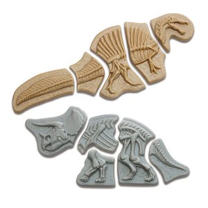 Dig & Discover – Triceratops en Spinosaurus